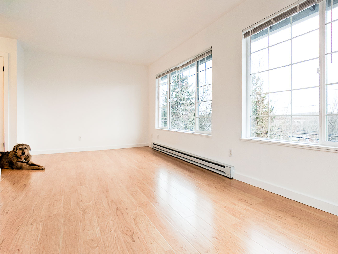 apartment rental Livingroom SW Portland 5311 SW Corbett