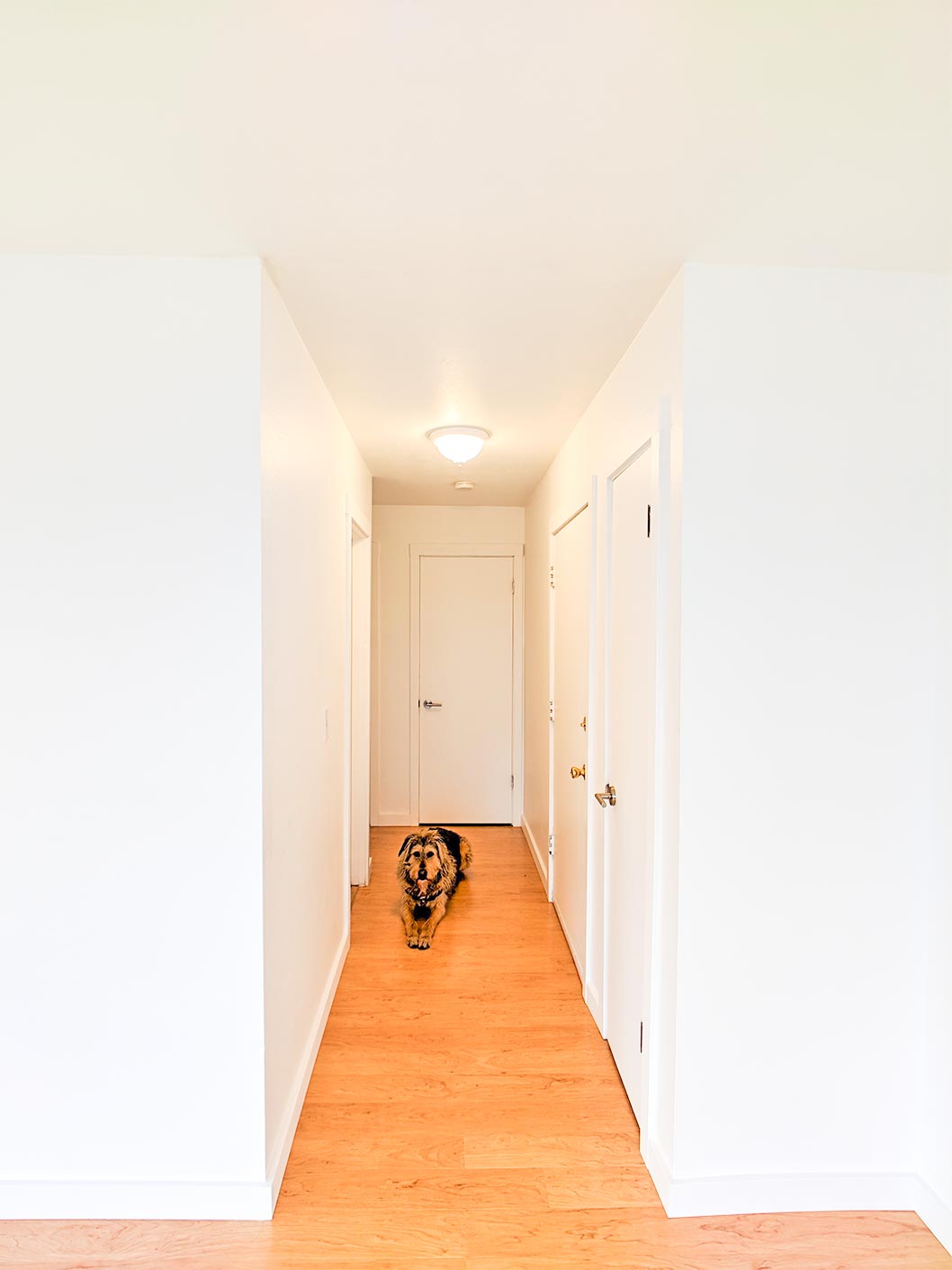 apartment rental moree closets SW Portland 5311 SW Corbett