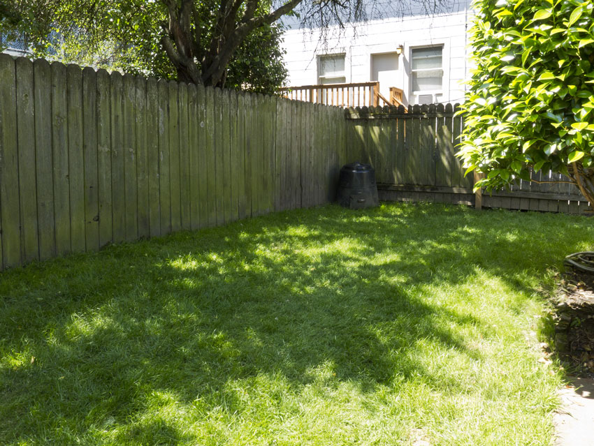 Yard Portland Apartment rental 2206 NW Irving 1 br 